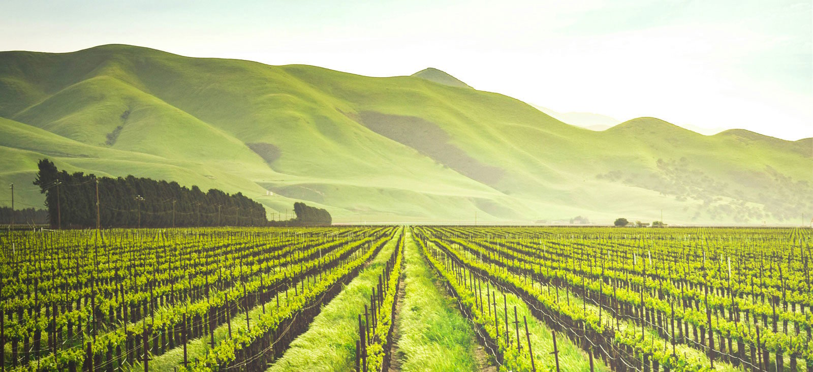 farm-field-banner